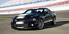 shelby-super-snake.jpg
