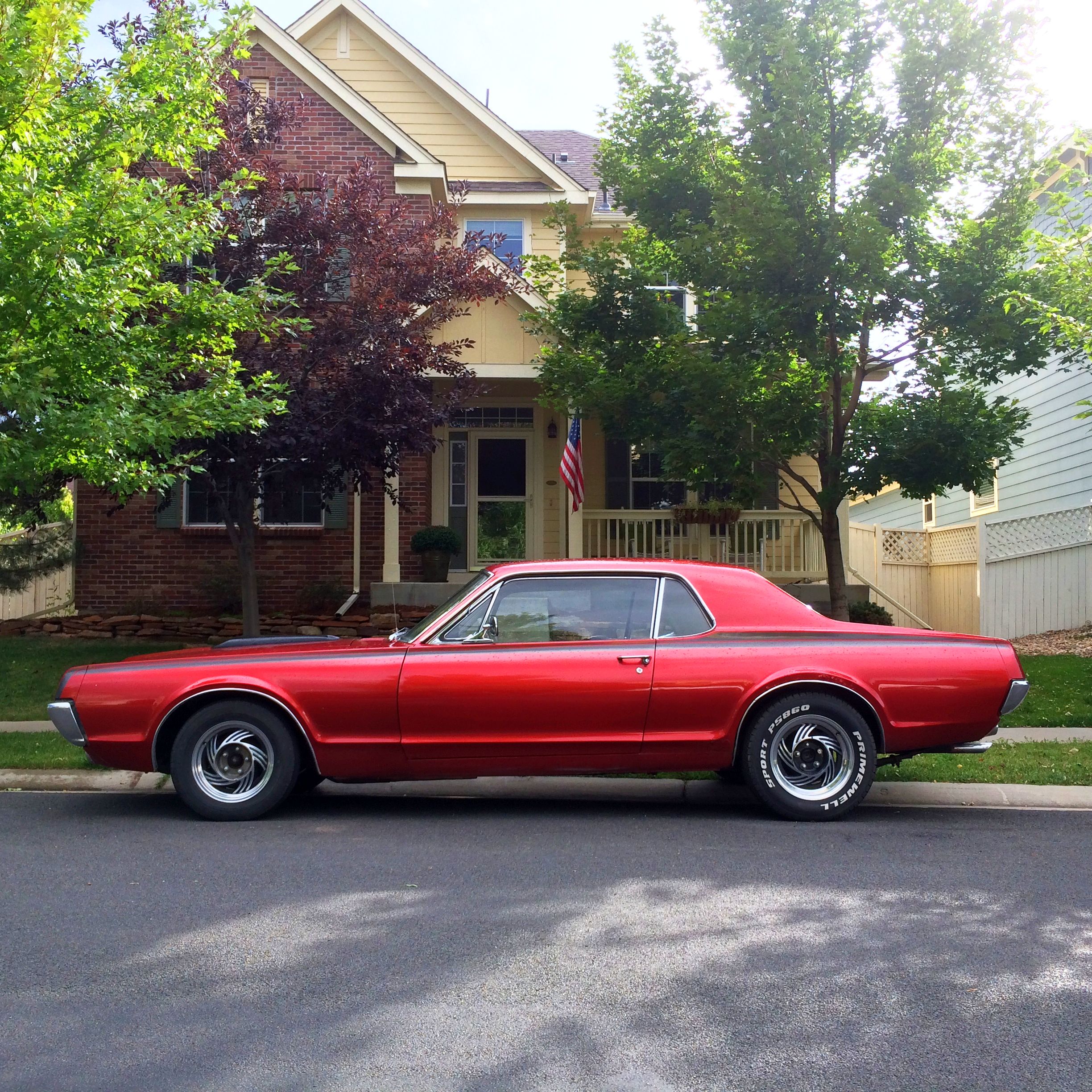 cougar.jpg